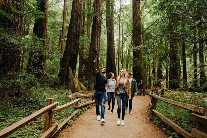 Experience the towering redwoods and serene trails of Muir Woods where nature's beauty and tranquility invite you to unwind and explore with friends on a memorable journey.